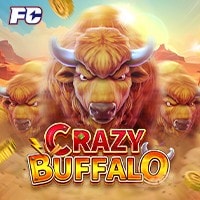 CRAZY BUFFALO