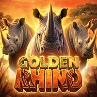 GOLDEN RHINO