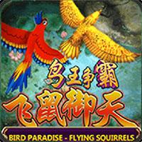 Bird Paradise