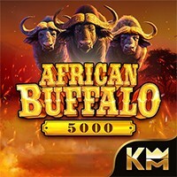 AFRICAN BUFFALO 5000
