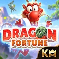 DRAGON FORTUNE