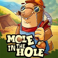 Mole in the Hole