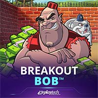Breakout Bob™