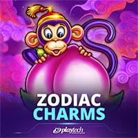 Zodiac Charms