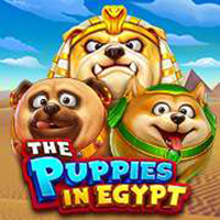 THE PUPPIES IN EGYPT