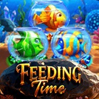 Feeding Time